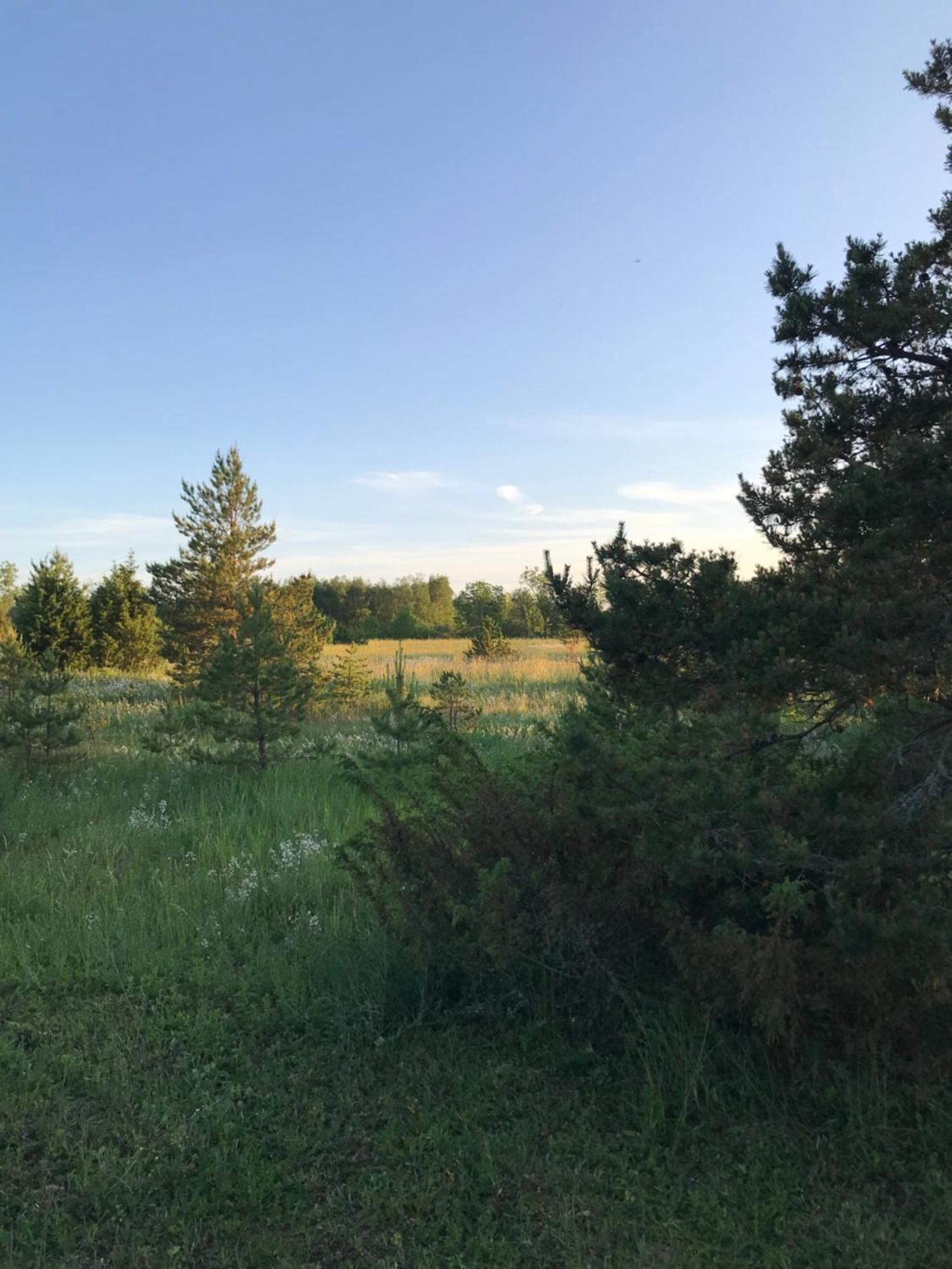 Ronga Saunamaja Hébergement de vacances Ilmasoo