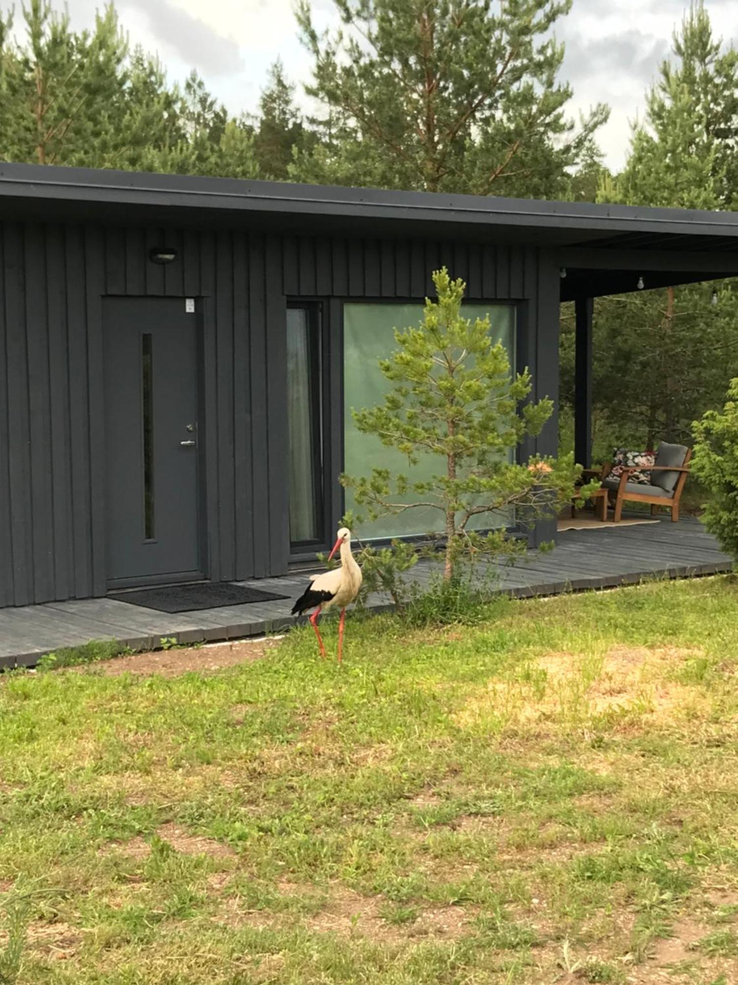 Holiday home Ronga Saunamaja